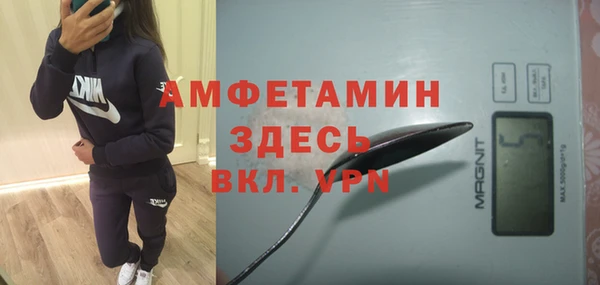 сатива Беслан
