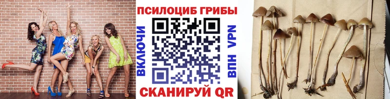 Галлюциногенные грибы прущие грибы  Яровое 